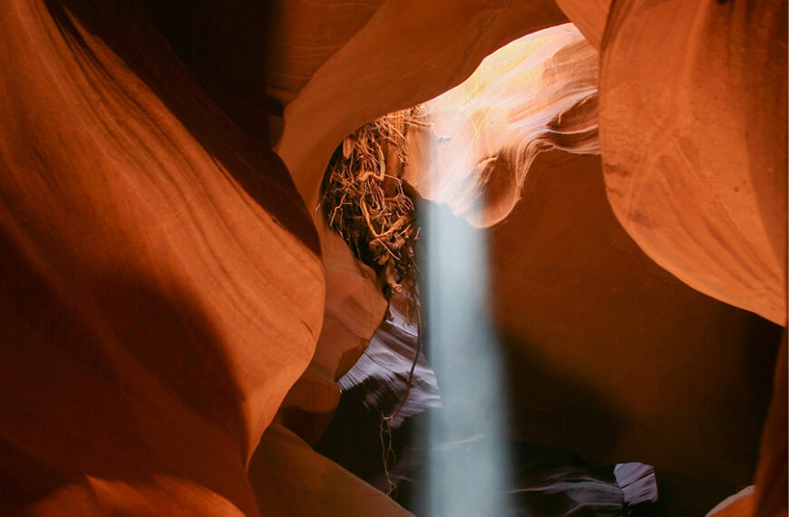 Il senso delle cose | Articolo di Franco Bottalo - Tao Alchemy